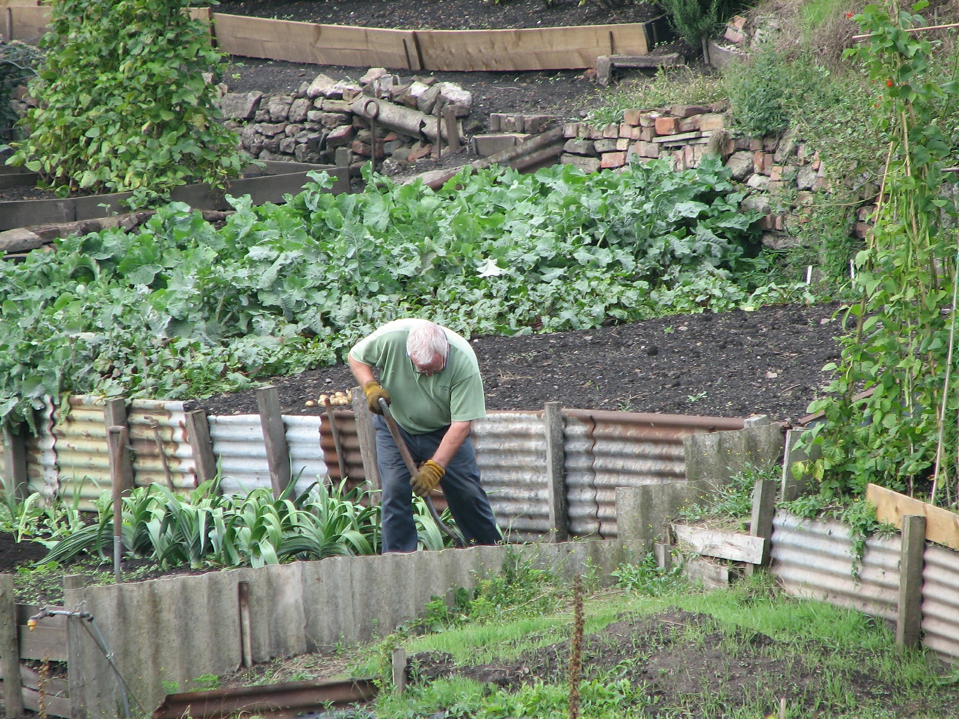 The types of gardening hobbies available in the UK