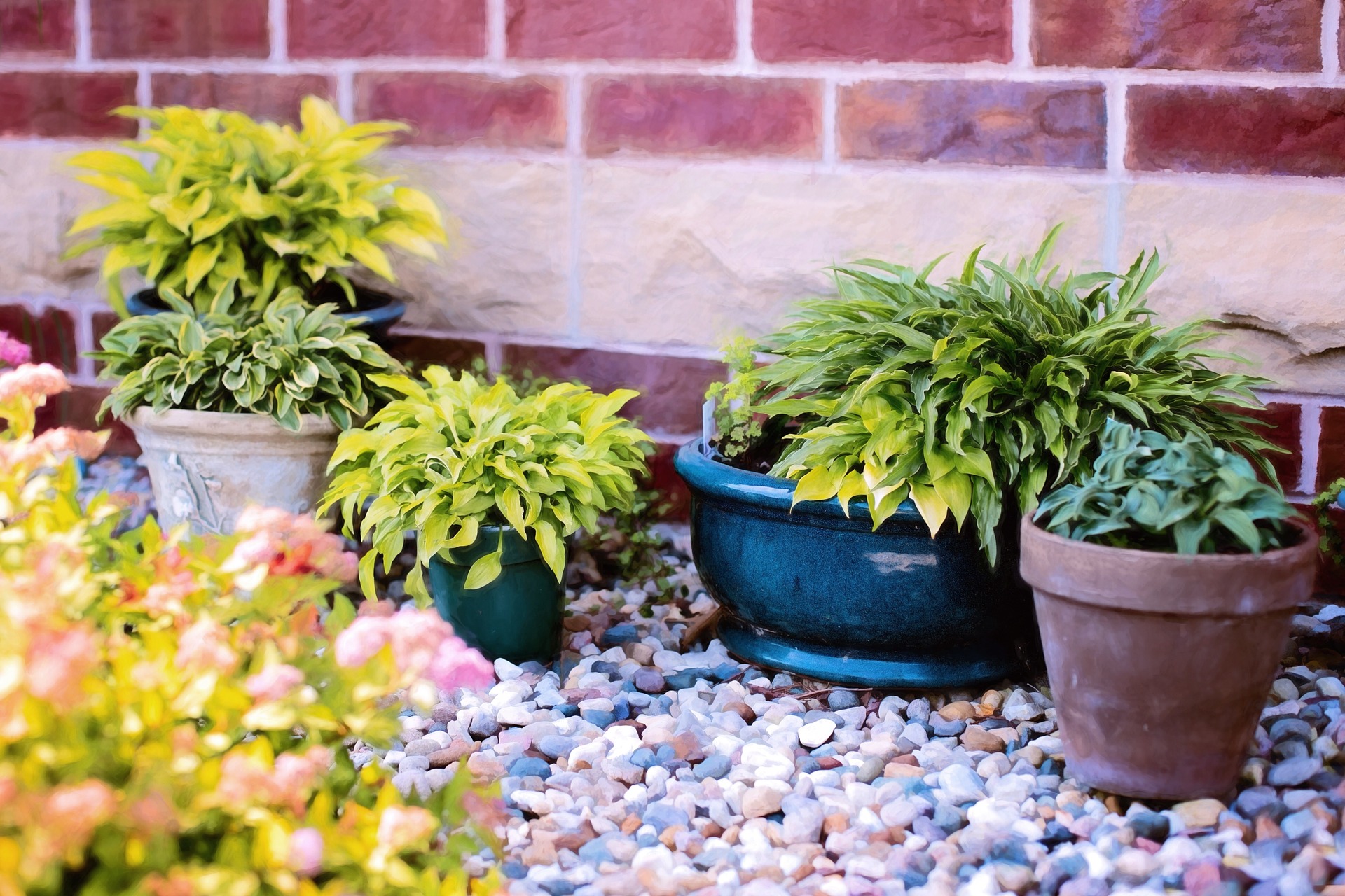 Gathering an Understanding of Quality Modern Garden Design